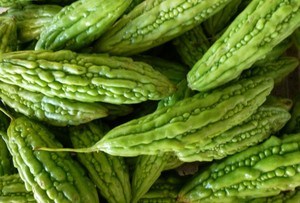 Bitter Melon