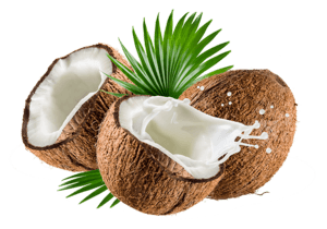 Splashing Coconut